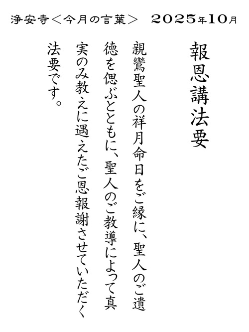 bbs_img